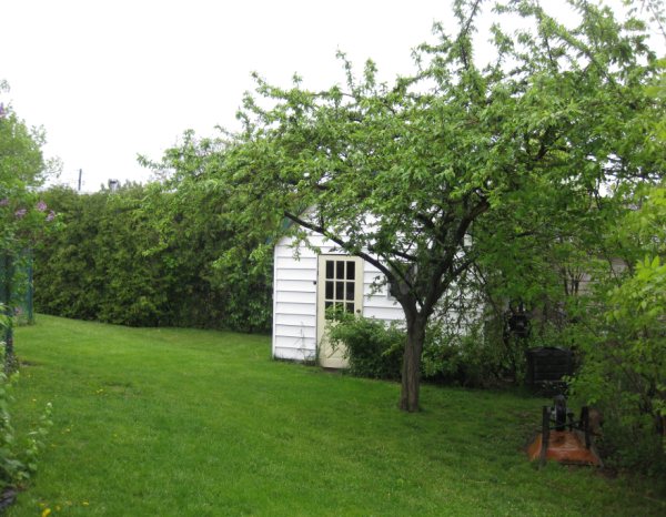 RENT TO OWN!! Only $1095 month